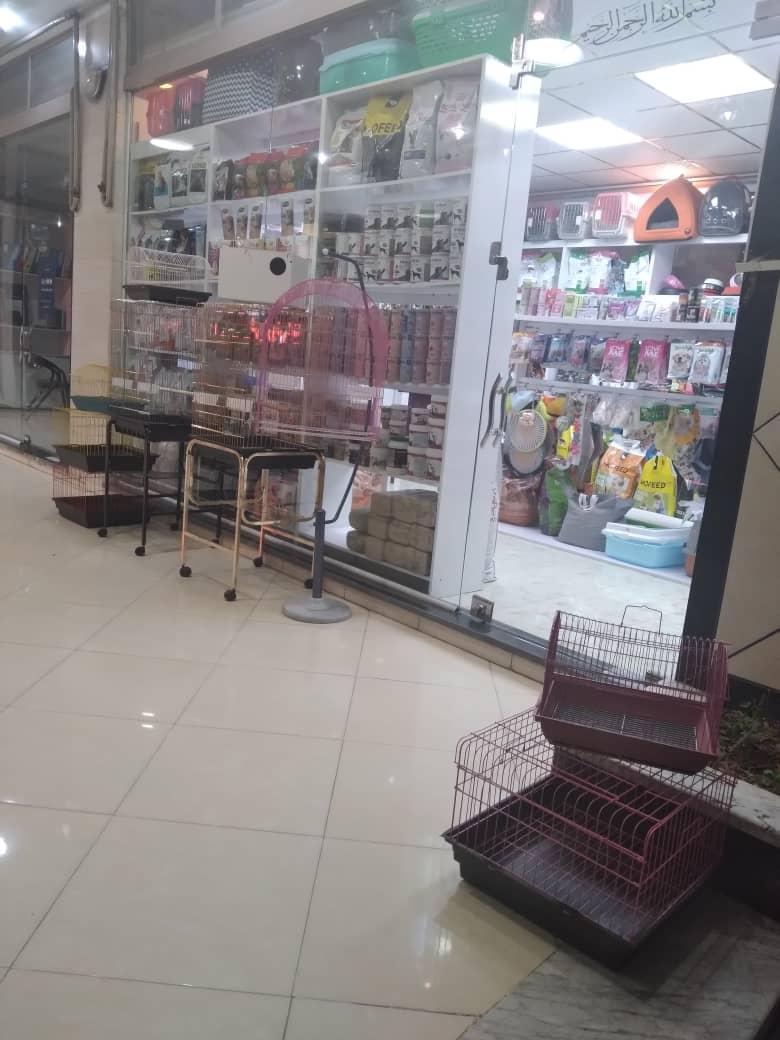 عکس پت شاپ اسپایک