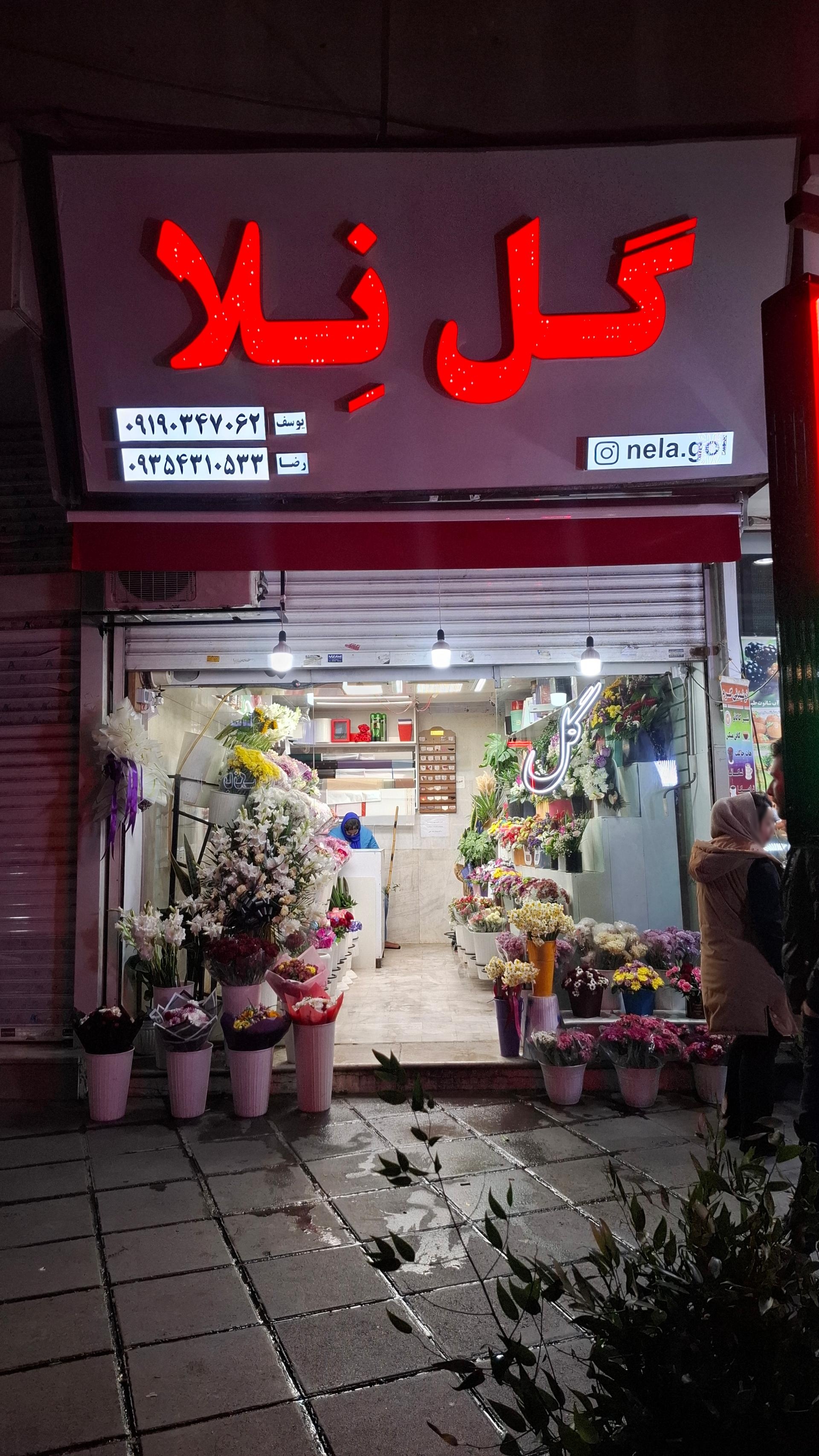 عکس گل فروشی نلا