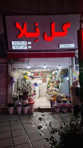 عکس گل فروشی نلا