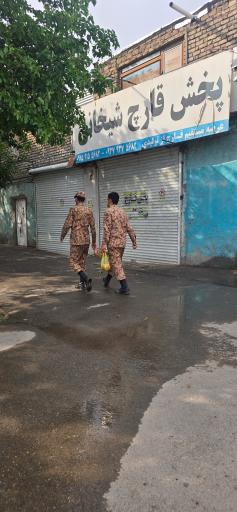 عکس پخش قارچ شیخانی