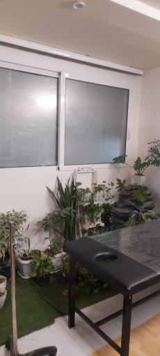 عکس حجامت اصفهان 