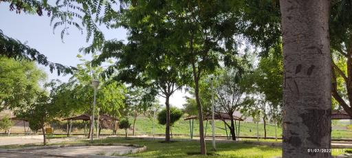 عکس پارک زنجان رود