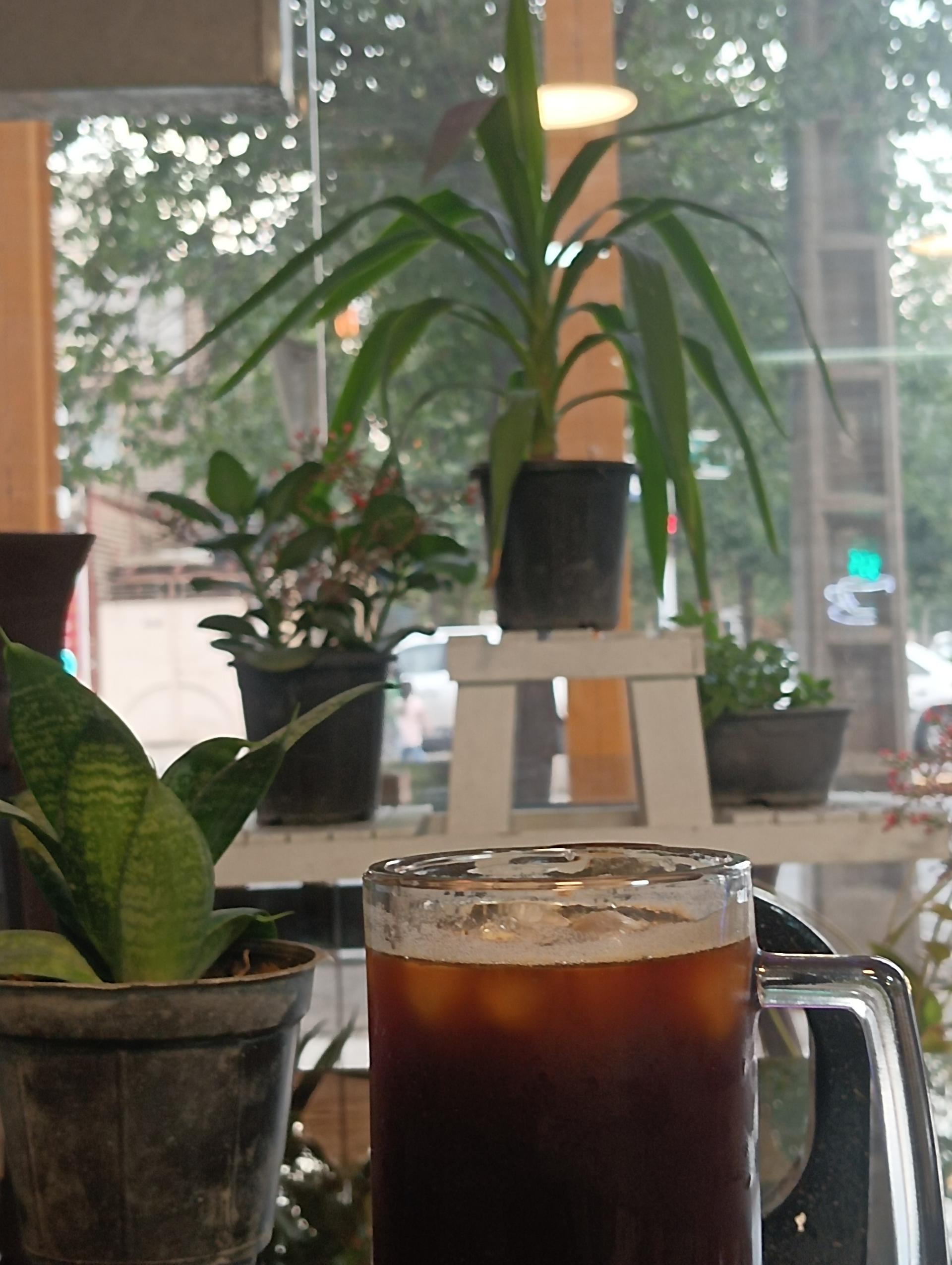 عکس کافه مای