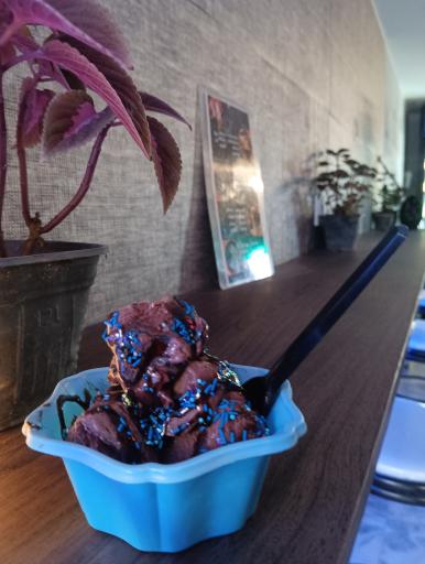 عکس کافه مای