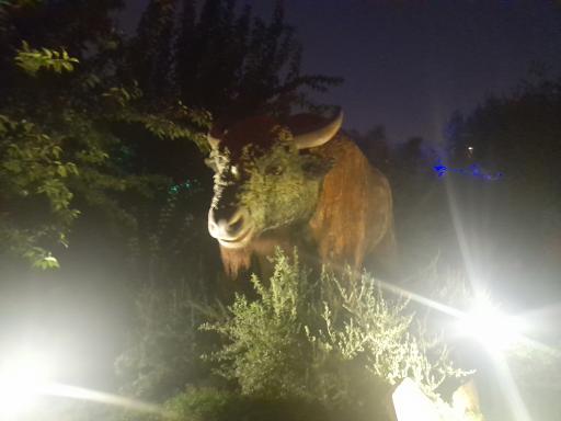 عکس پارک ژوراسیک مشهد 