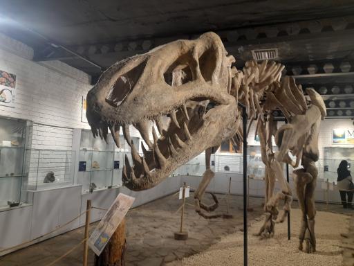 عکس پارک ژوراسیک مشهد 