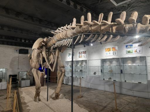 عکس پارک ژوراسیک مشهد 