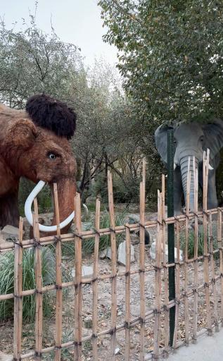 عکس پارک ژوراسیک مشهد 