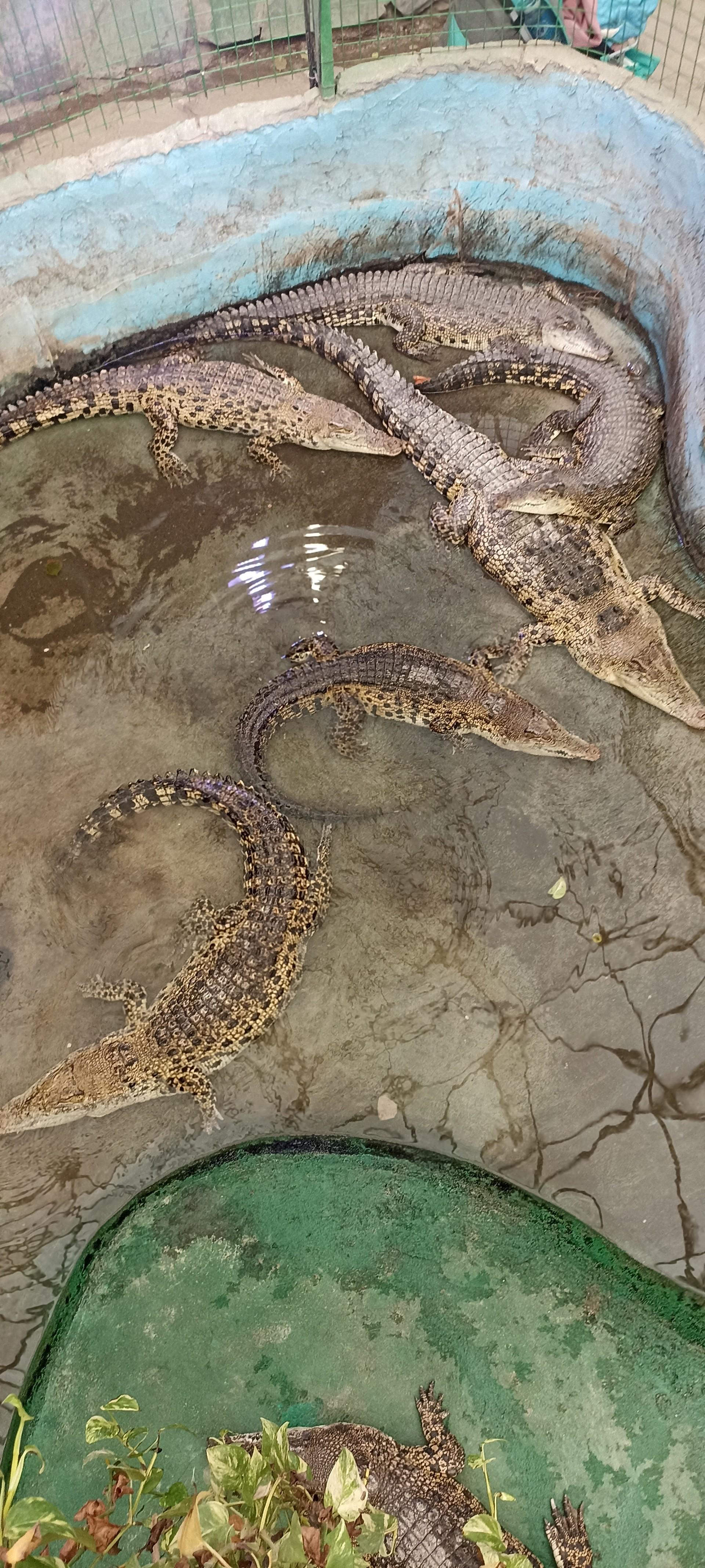 عکس پارک ژوراسیک مشهد 