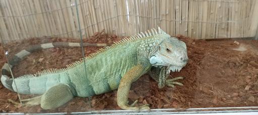 عکس پارک ژوراسیک مشهد 