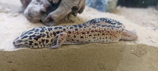 عکس پارک ژوراسیک مشهد 