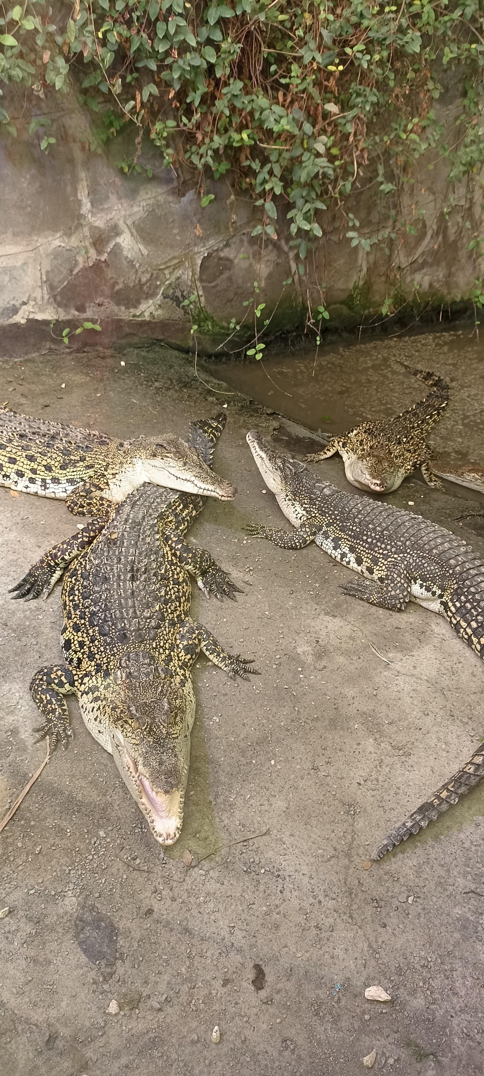 عکس پارک ژوراسیک مشهد 