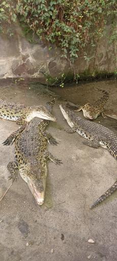 عکس پارک ژوراسیک مشهد 