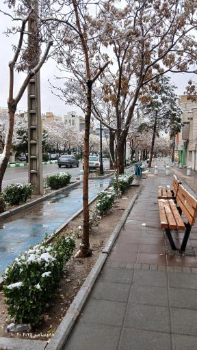 عکس  ملاصدرا 16