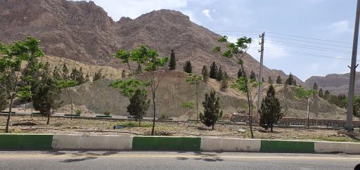 عکس جمعه بازار جمکران