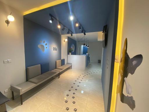 عکس کلینیک حیوانات خانگی 