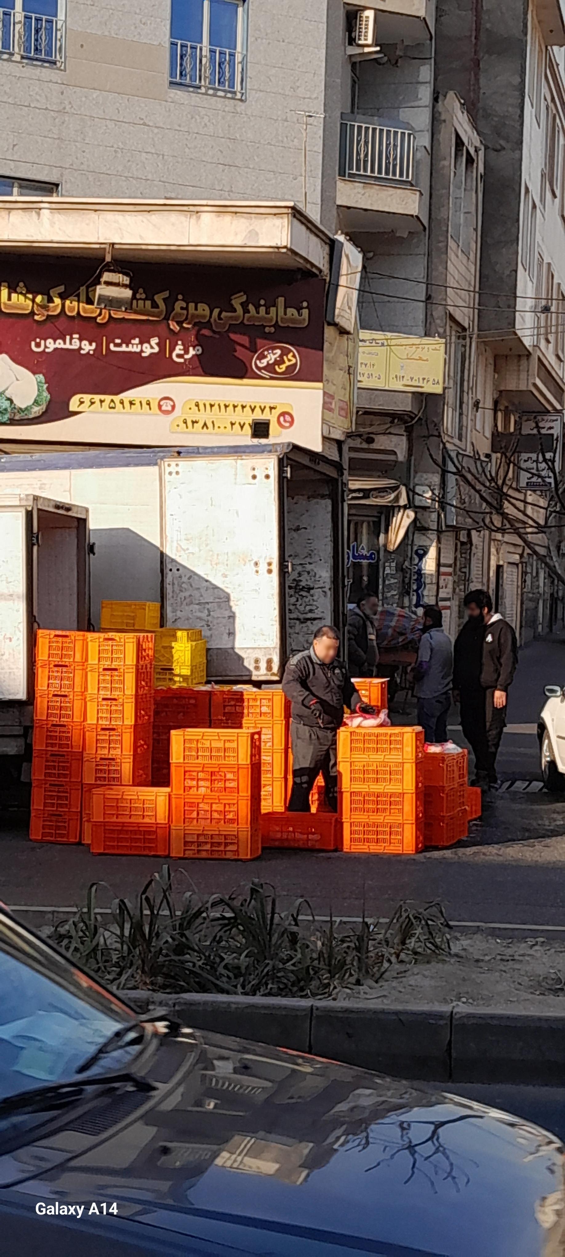 عکس مرغ، گوشت و بوقلمون کوشان طیور