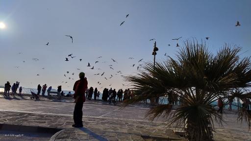 عکس پارک ساحلی