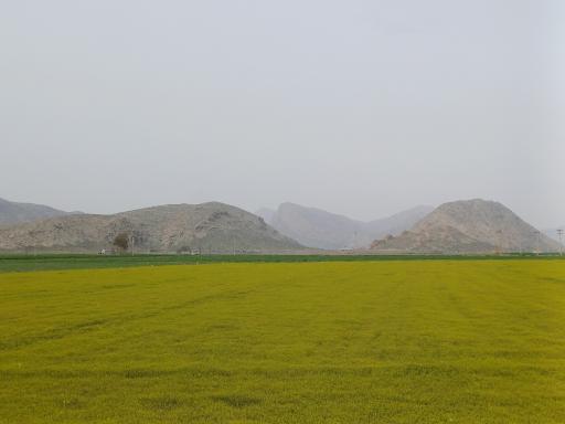 عکس داریون