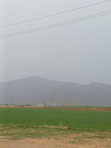 عکس داریون