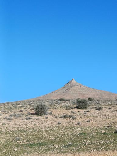 عکس داریون