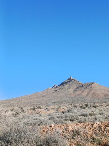 عکس داریون