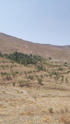 عکس چشمه چپقلی