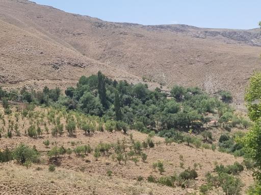 عکس چشمه چپقلی
