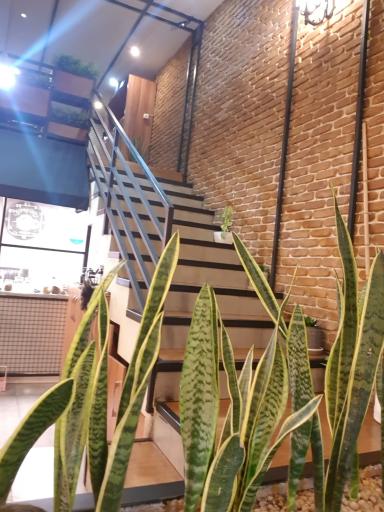 عکس رستوران ایتالیایی فنو