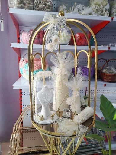 عکس گالری شاخه نبات