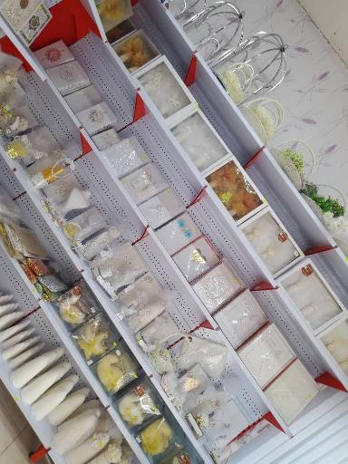 عکس گالری شاخه نبات