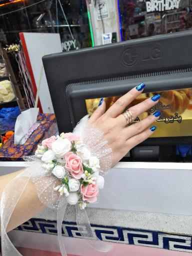 عکس گالری شاخه نبات