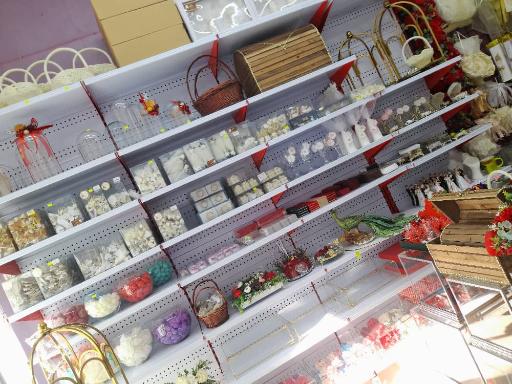 عکس گالری شاخه نبات