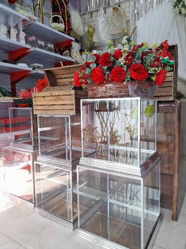 گالری شاخه نبات