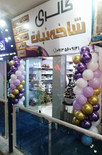 گالری شاخه نبات