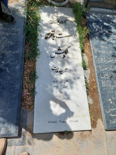 عکس آرامستان امامزاده طاهر