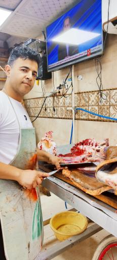 عکس عرضه گوشت شتر مرغ رضایی نژاد 