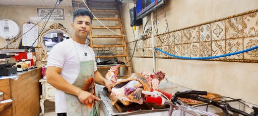 عرضه گوشت شتر مرغ رضایی نژاد 