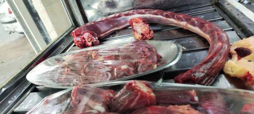 عرضه گوشت شتر مرغ رضایی نژاد 