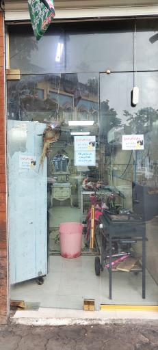 عکس عرضه گوشت شتر مرغ رضایی نژاد 