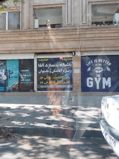 عکس باشگاه آلفا 