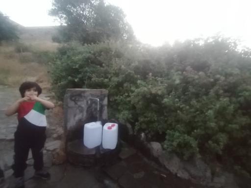 عکس چشمه سنگ شکن