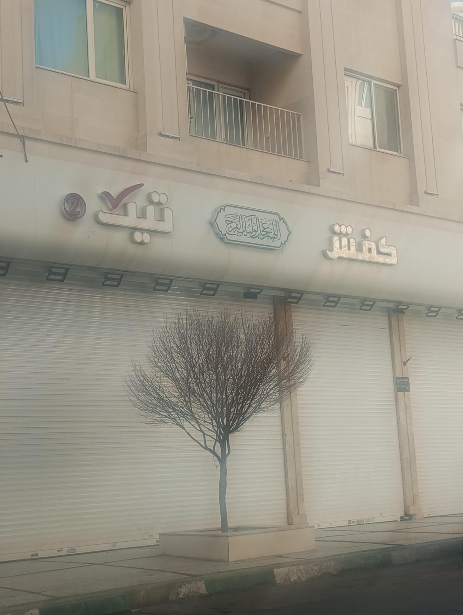 عکس کفش تیک