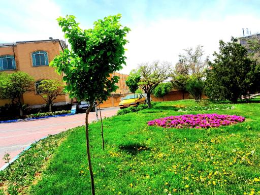 عکس فضای سبز