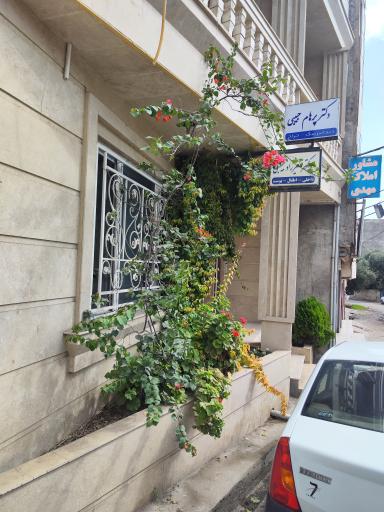 عکس دکتر حبیبی