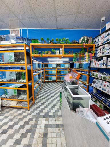 عکس آکواریوم امید