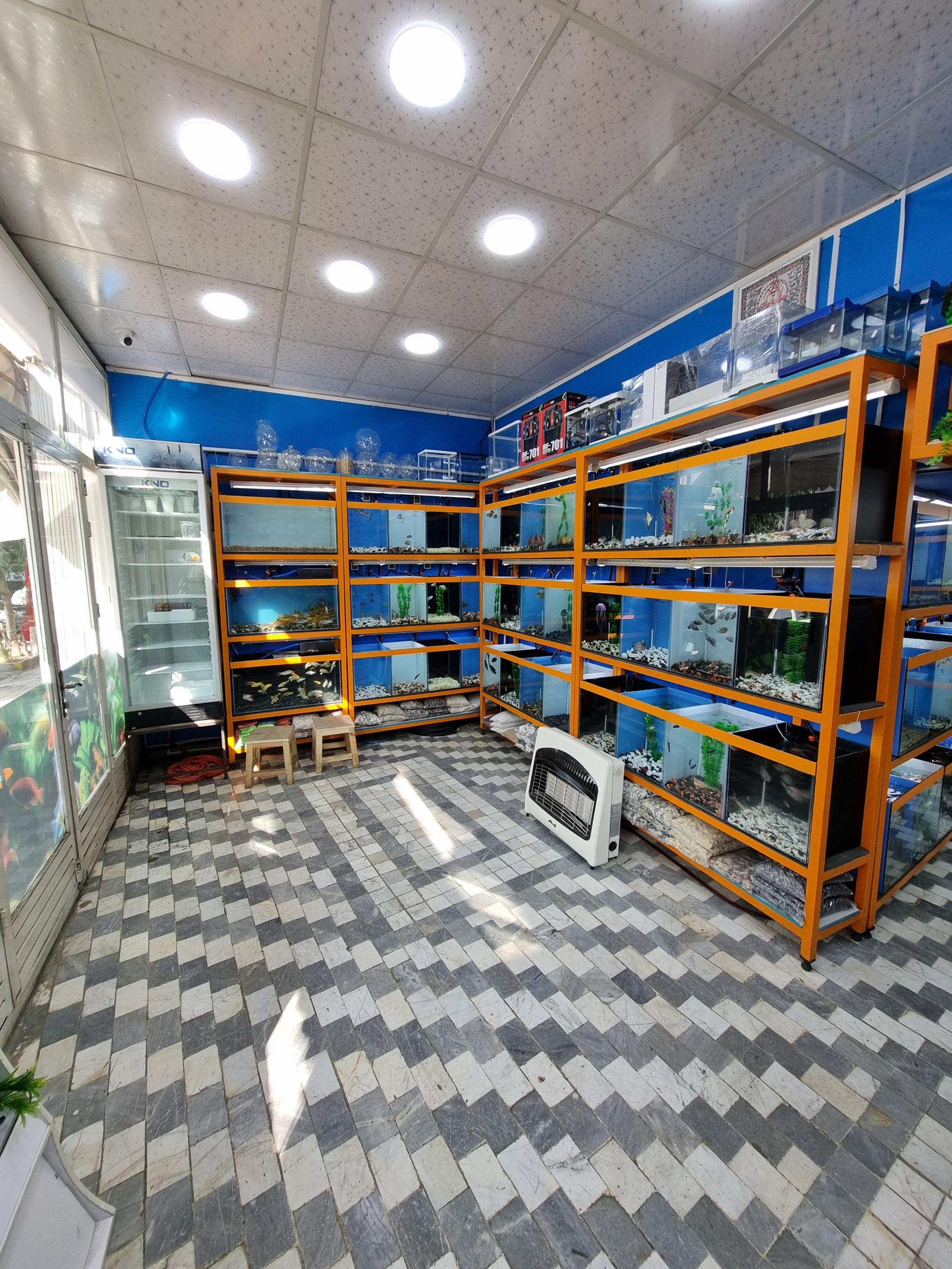 عکس آکواریوم امید