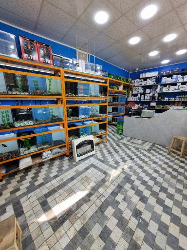 عکس آکواریوم امید