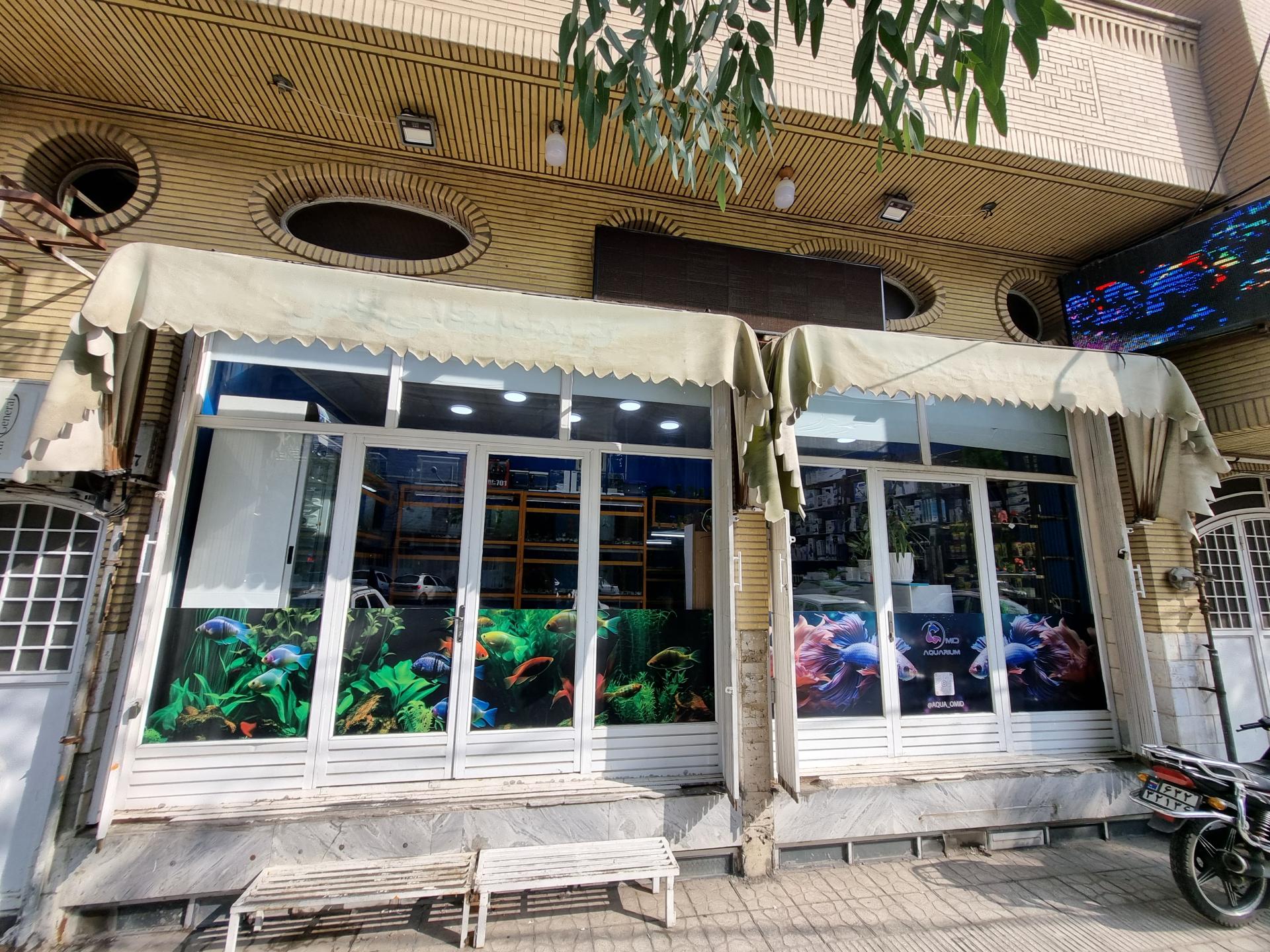 عکس آکواریوم امید