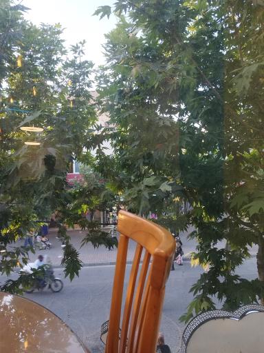 کافه بستنی ویتانژی